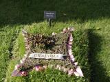 image of grave number 847237